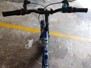 Dsi Bicycle 24 Inch With Gears