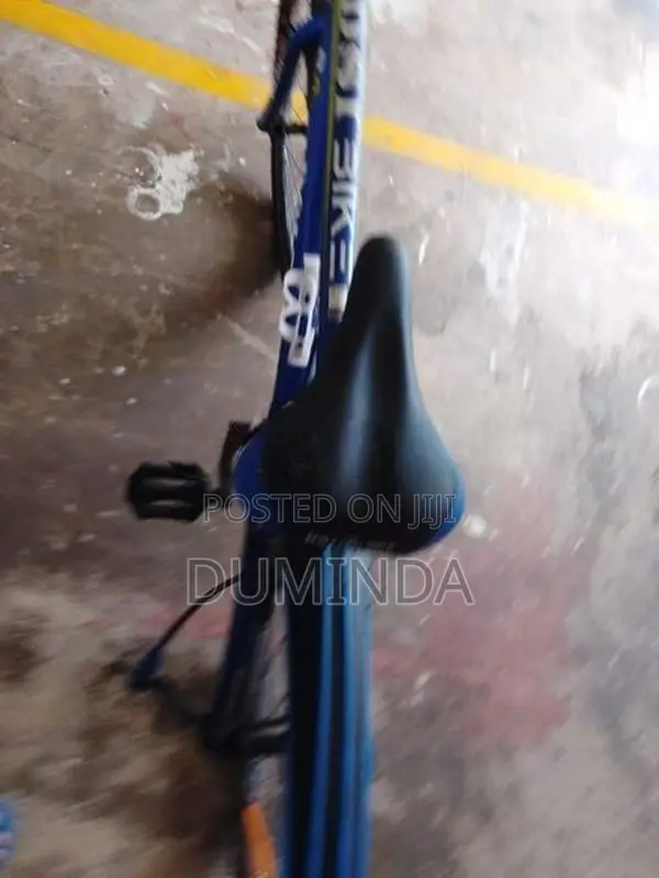 Dsi Bicycle 24 Inch With Gears