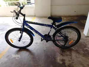 Dsi Bicycle 24 Inch With Gears