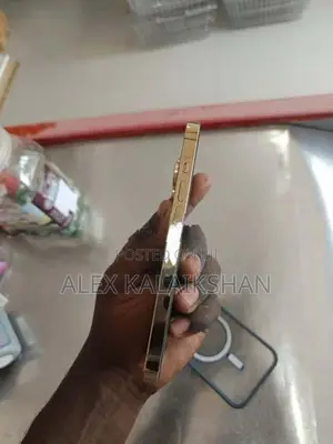 Apple iPhone 13 Pro (Used)