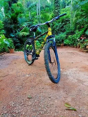 Mountain Bicycle