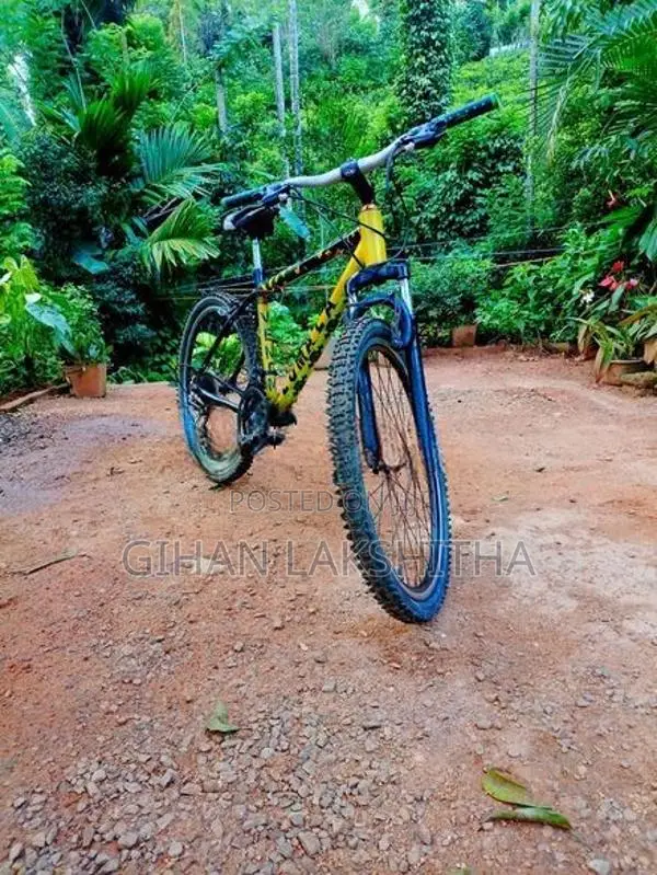 Mountain Bicycle