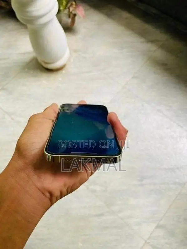 Apple iPhone 12 Pro (Used)