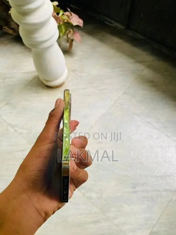 Apple iPhone 12 Pro (Used)