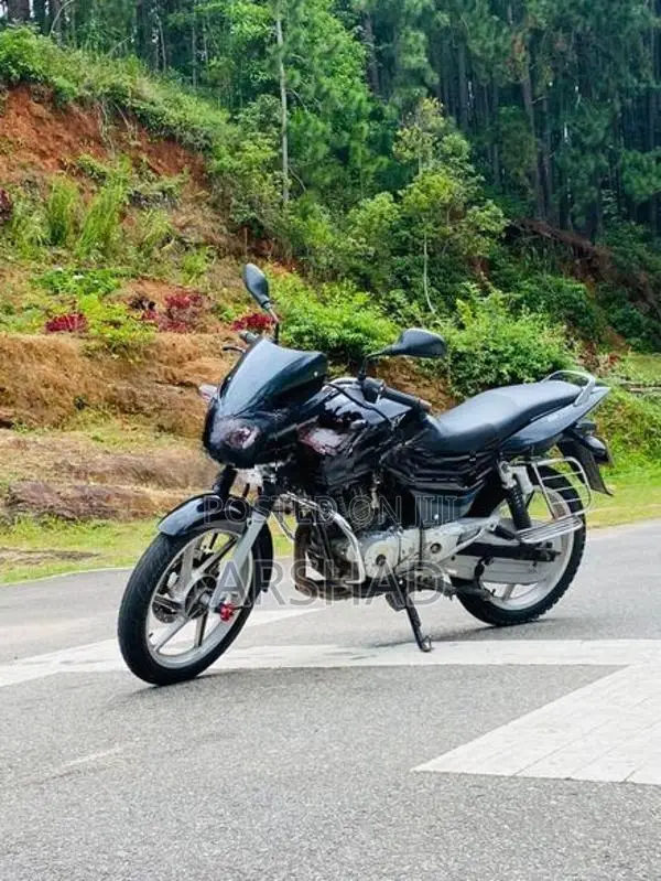 Bajaj Pulsar 150 2007