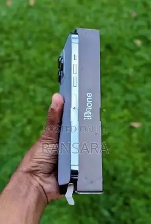 Apple iPhone 13 Pro Max (Used)