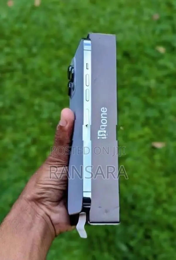 Apple iPhone 13 Pro Max (Used)