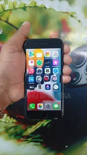 Apple iPhone 7 (Used)