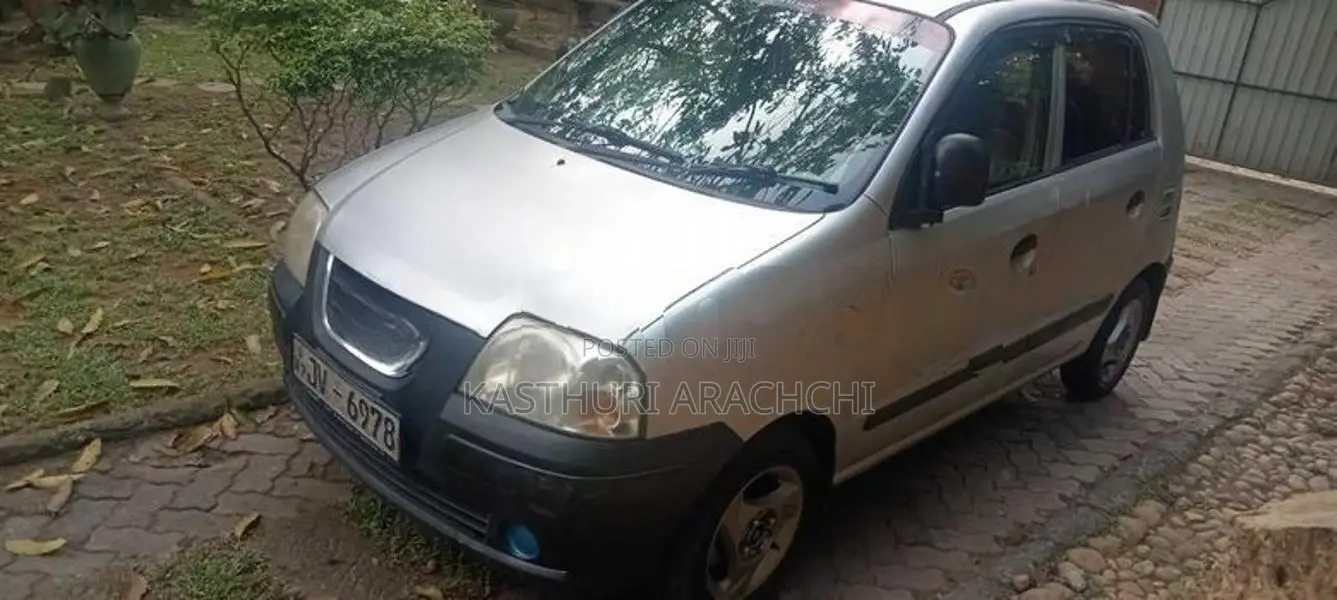 Hyundai Santro Xing 2006