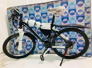 Electric Bicycle