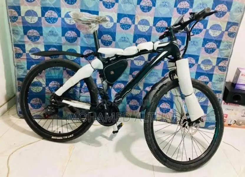 Electric Bicycle