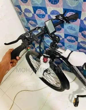 Electric Bicycle