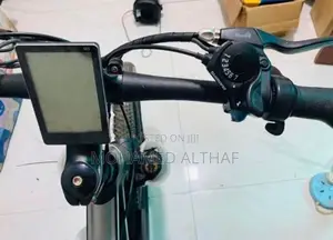 Electric Bicycle