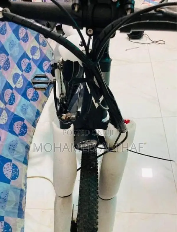 Electric Bicycle