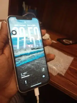 Apple iPhone 12 (Used)