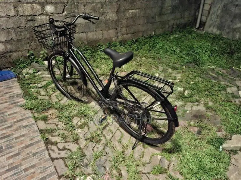 Ballo Gym Japanese 27.5 Bicycle