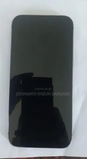 Apple iPhone 14 Pro Max (Used)
