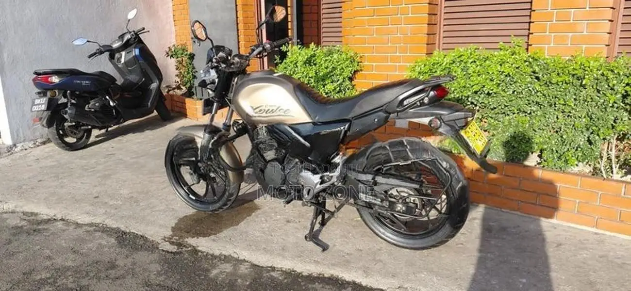 Hero X Pulse 2020