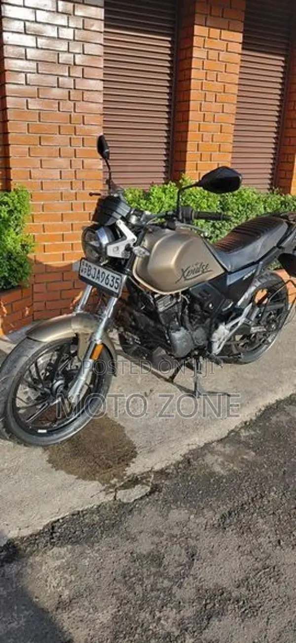 Hero X Pulse 2020