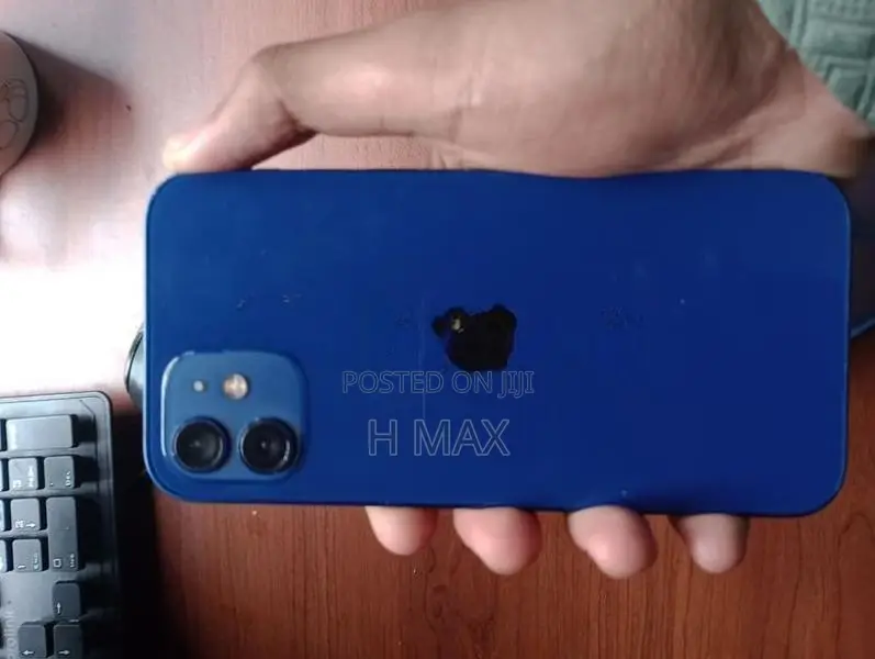 Apple iPhone 12 (Used)