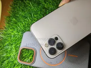 Apple iPhone 12 Pro (Used)