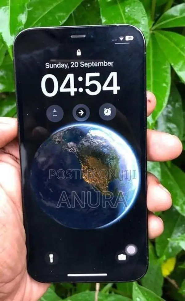 Apple iPhone 12 Pro (Used)