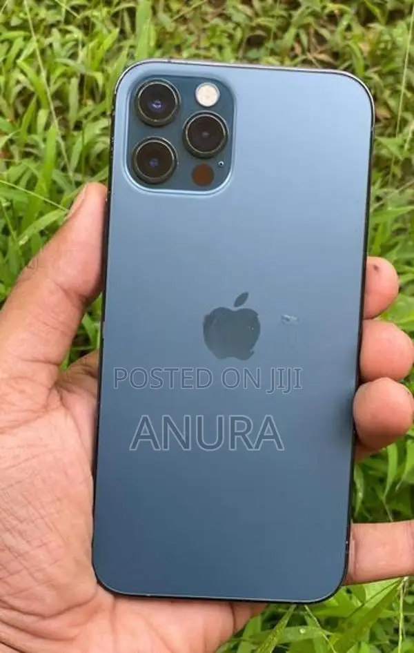 Apple iPhone 12 Pro (Used)