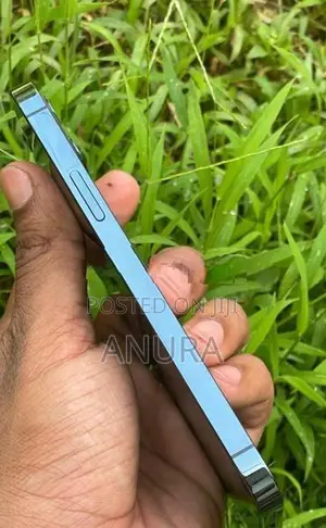 Apple iPhone 12 Pro (Used)