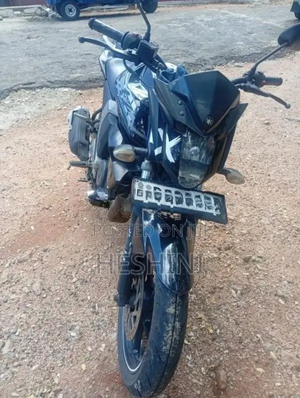 Yamaha FZ S 2018