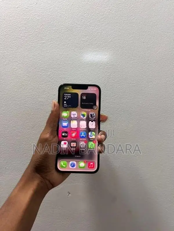 Apple iPhone 13 Pro (Used)