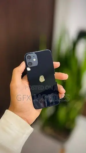 Apple iPhone 12 mini (Used)