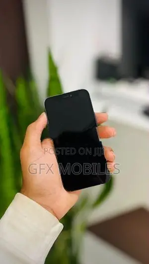 Apple iPhone 12 mini (Used)