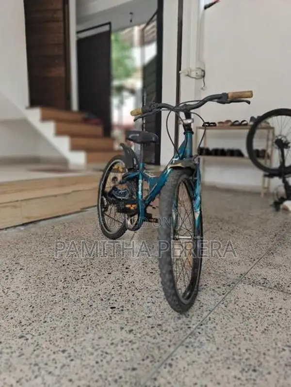 Bridgestone EX Bicycle