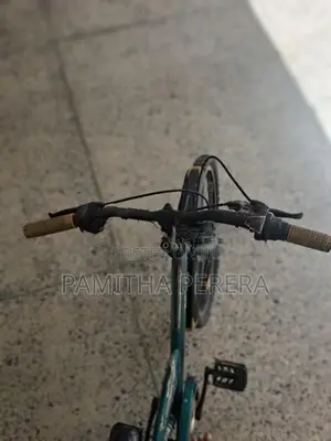 Bridgestone EX Bicycle