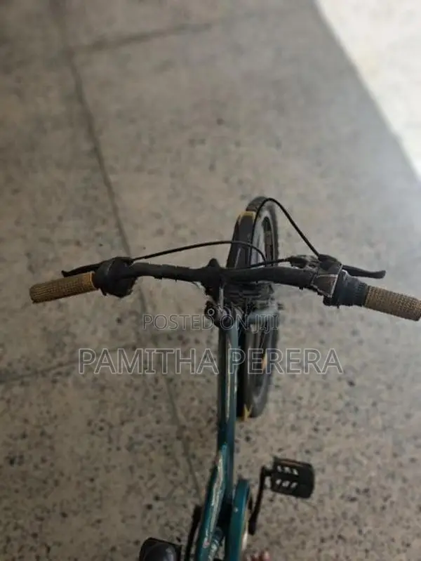 Bridgestone EX Bicycle