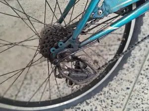 Bridgestone EX Bicycle