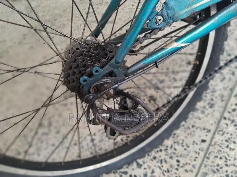 Bridgestone EX Bicycle