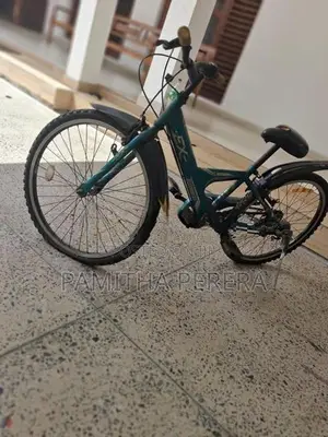 Bridgestone EX Bicycle