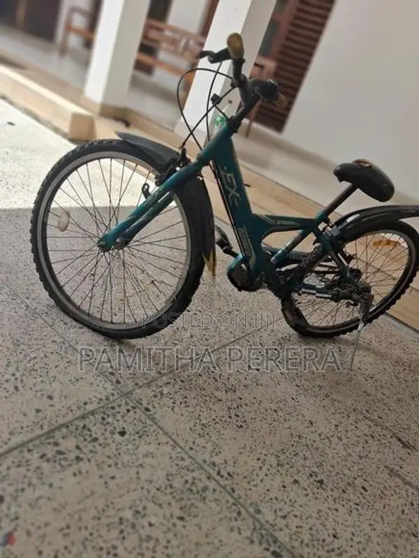 Bridgestone EX Bicycle