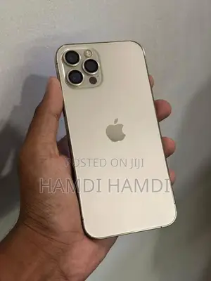 Apple iPhone 12 Pro (Used)