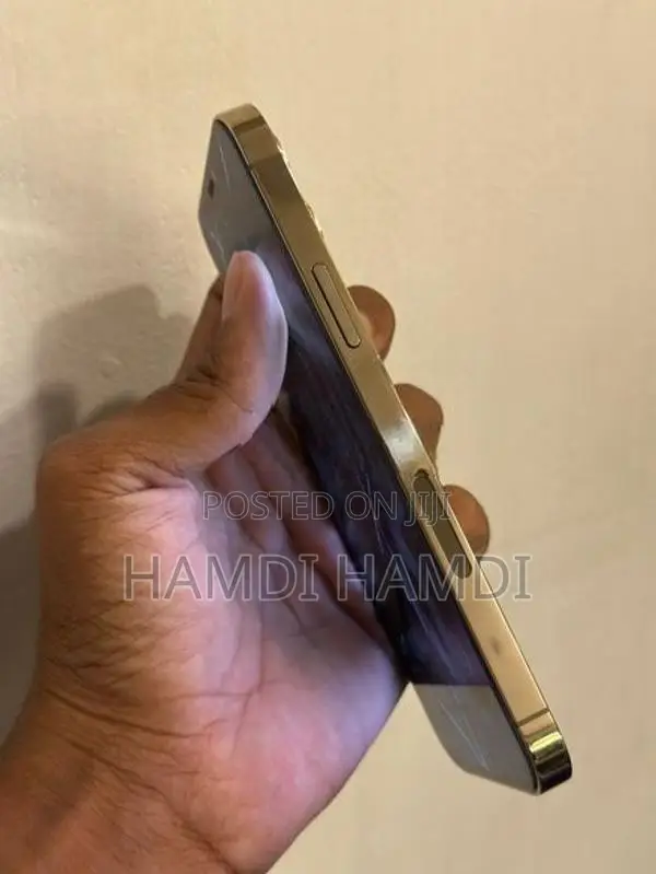 Apple iPhone 12 Pro (Used)