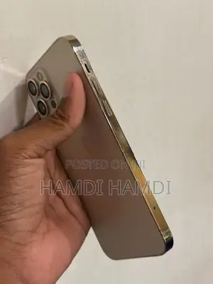 Apple iPhone 12 Pro (Used)