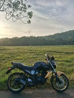 Yamaha FZS V1 2013
