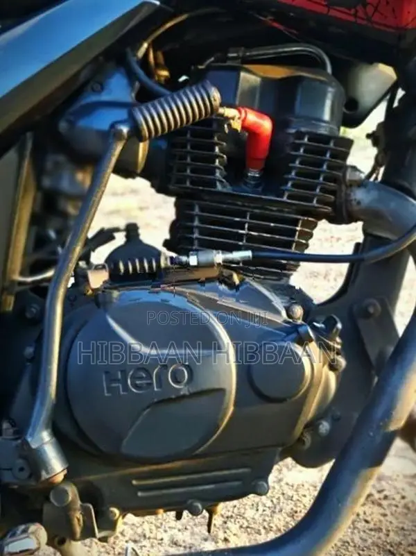 Hero Hunk 2015