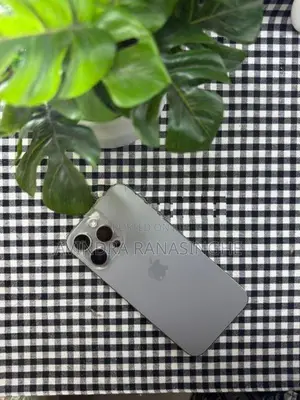 Apple iPhone 15 Pro Max (Used)