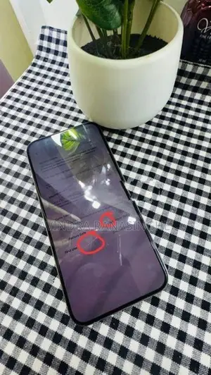 Apple iPhone 15 Pro Max (Used)