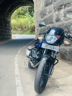 Bajaj Pulsar 150 2018 Twin Disk