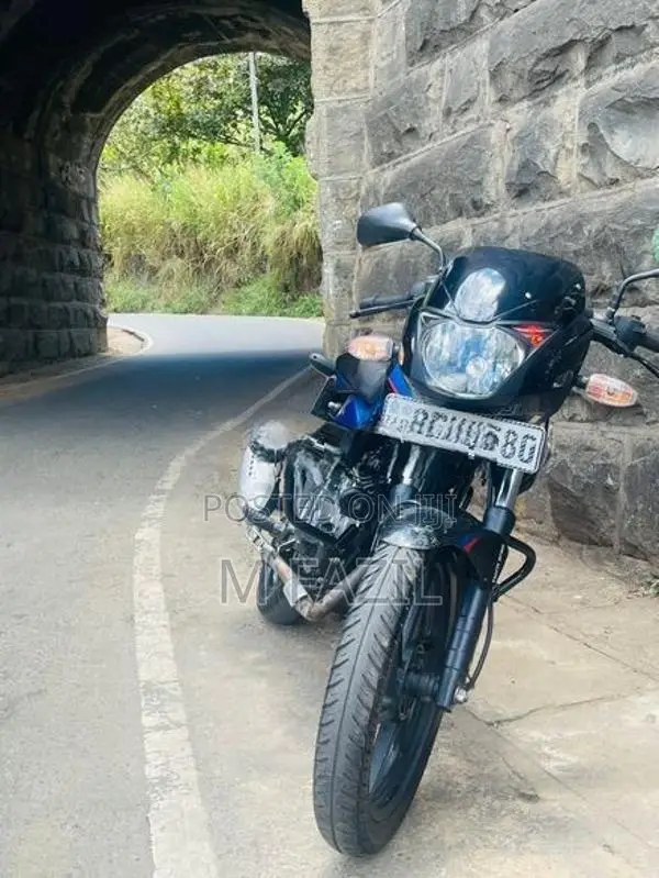 Bajaj Pulsar 150 2018 Twin Disk