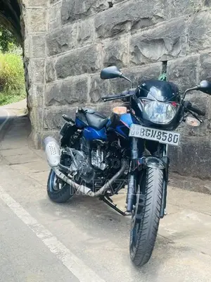 Bajaj Pulsar 150 2018 Twin Disk