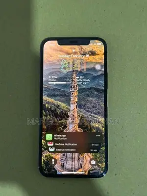 Apple iPhone 12 Pro (Used)